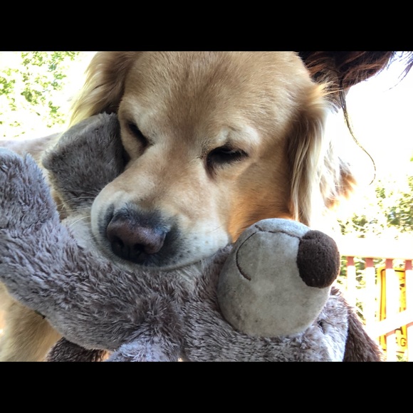 Meet your Posher, Kaitlyn - Picture 1 of 1